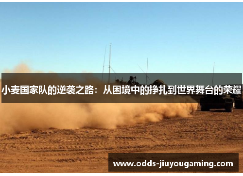 小麦国家队的逆袭之路：从困境中的挣扎到世界舞台的荣耀
