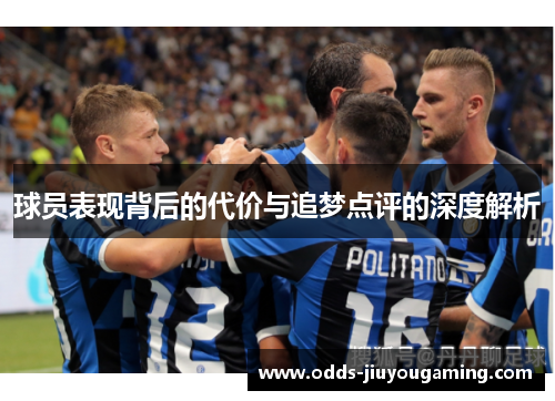 球员表现背后的代价与追梦点评的深度解析