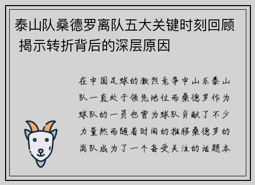 泰山队桑德罗离队五大关键时刻回顾 揭示转折背后的深层原因