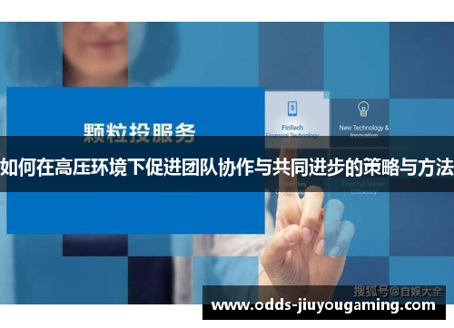 如何在高压环境下促进团队协作与共同进步的策略与方法