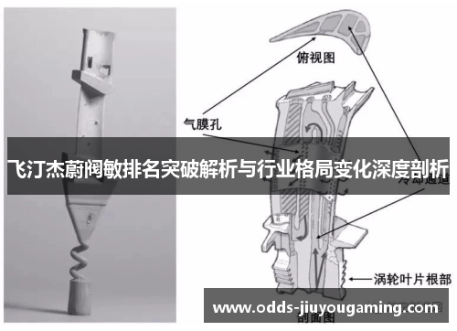 飞汀杰蔚阀敏排名突破解析与行业格局变化深度剖析